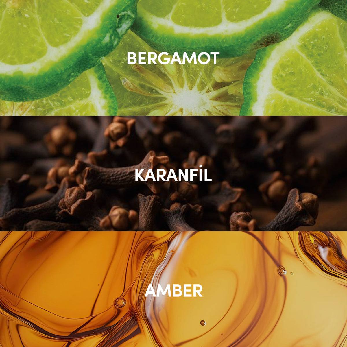 Ambre Edp Kadın Parfüm 50ml | Amber - Paçuli - Gül | Bergamot, Sedir, Karanfil, Vetiver