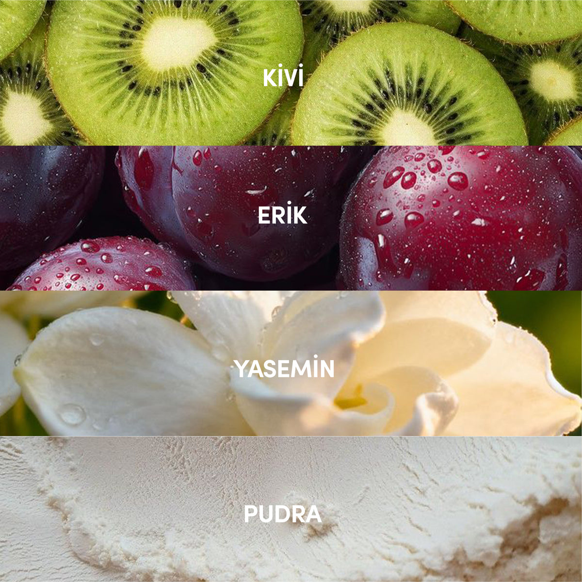 Améline EDP Kadın Parfüm 50ml | Pudramsı - Çiçeksi - Ferah | Yasemin, Misk