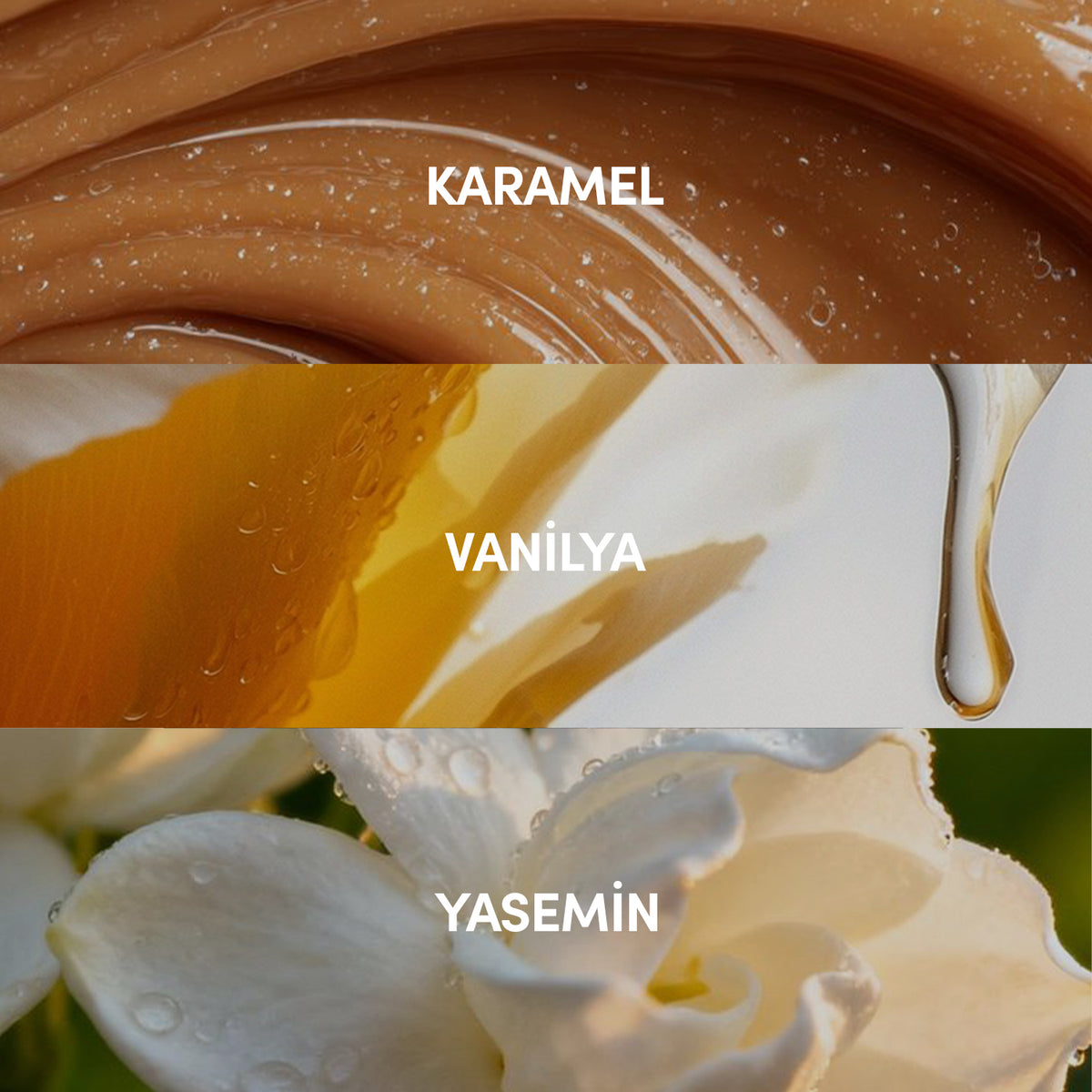 Doré EDP Kadın Parfüm 50ml | Tatlı-Gurme-Çiçeksi | Karamel, Yasemin, Vanilya