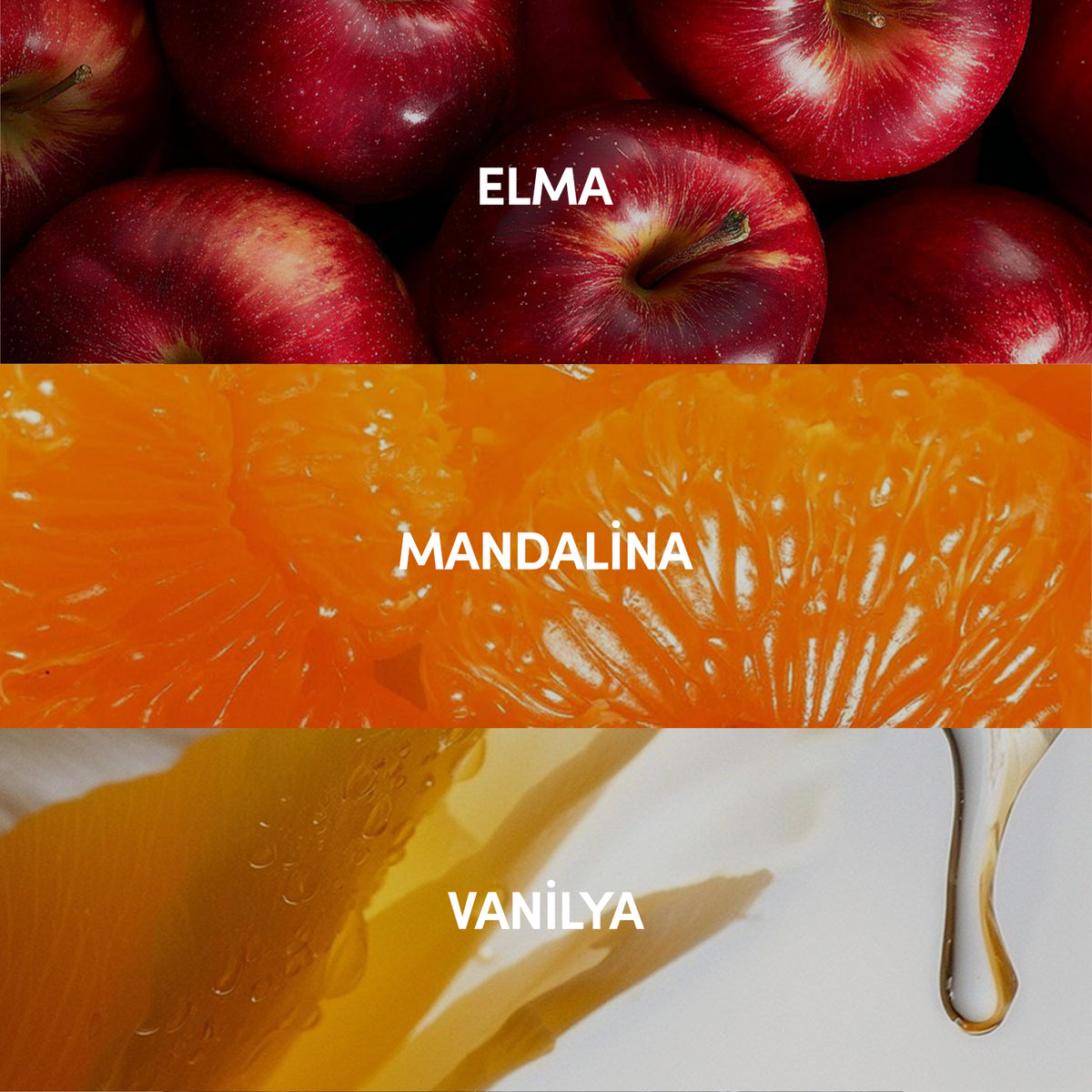 Soléna EDP Kadın Parfüm 50ml | Baharatlı-Tatlı-Vanilya | Narenciye, Gül, Vanilya