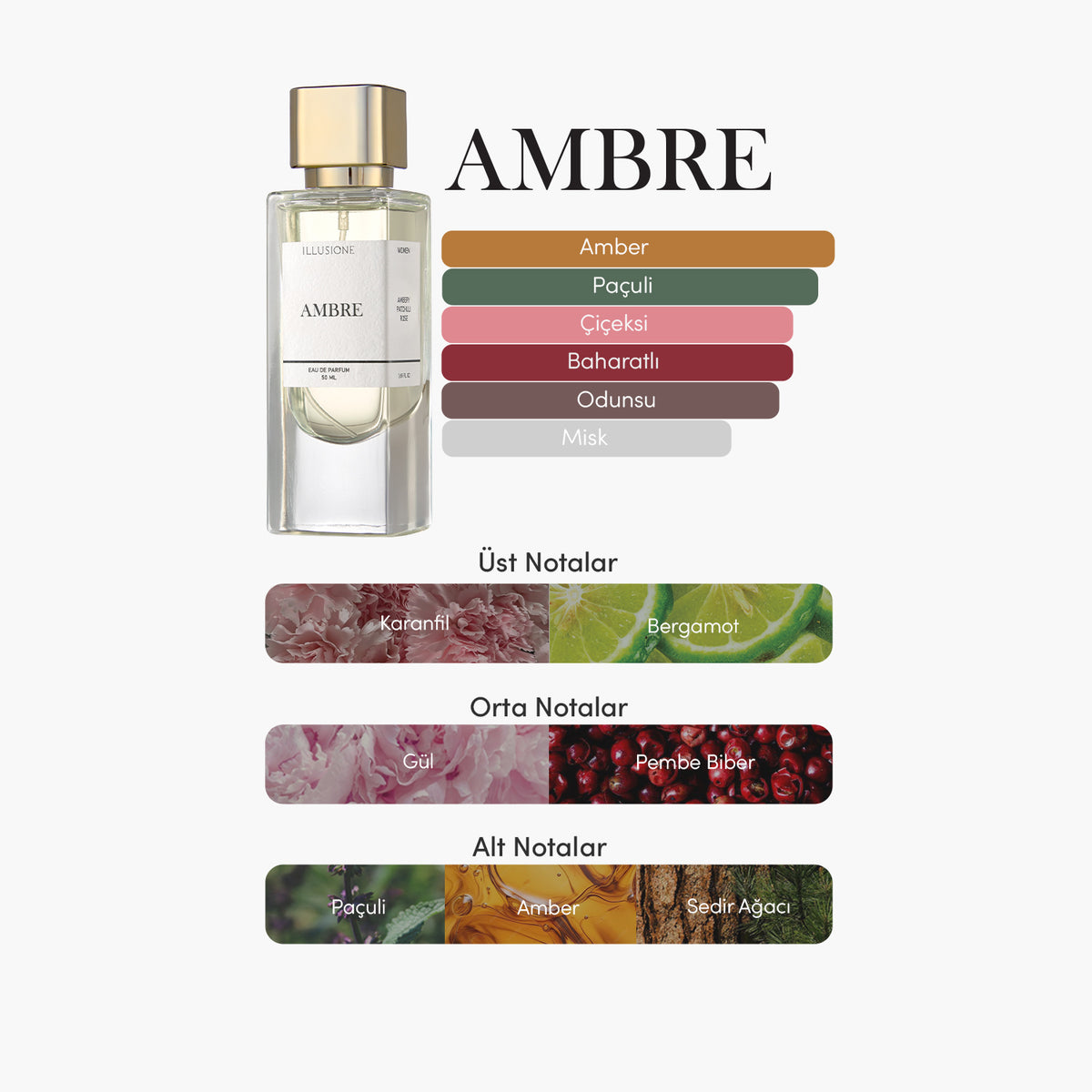 Ambre Edp Kadın Parfüm 50ml | Amber - Paçuli - Gül | Bergamot, Sedir, Karanfil, Vetiver