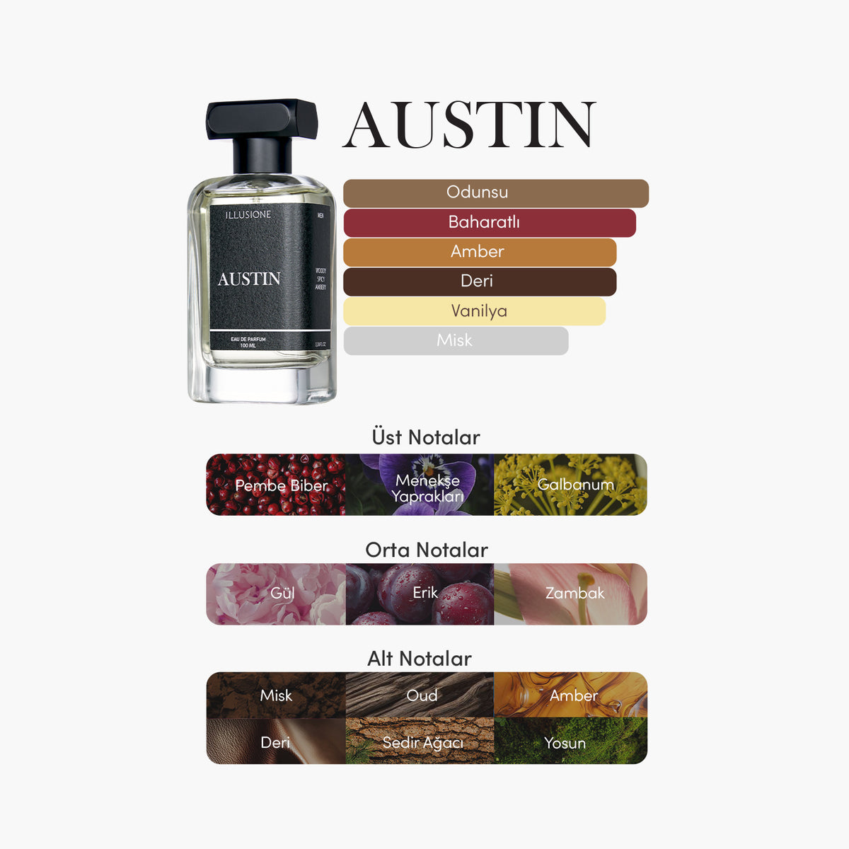 Austin Edp Erkek Parfüm 100ml | Odunsu - Baharatlı - Amber | Erik, Sedir, Paçuli, Misk