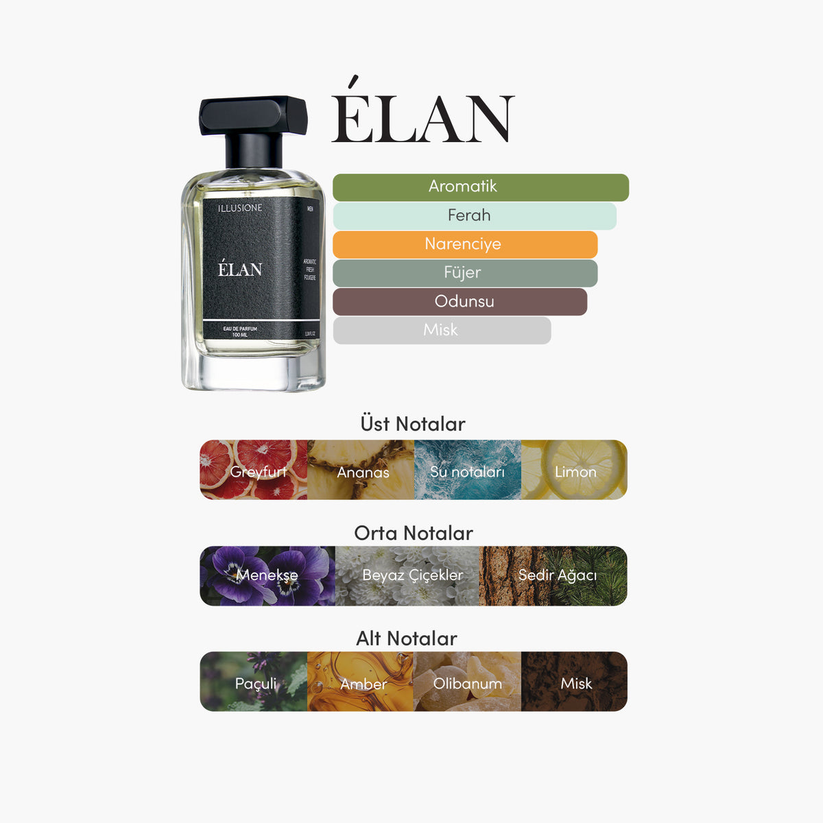Élan Edp Erkek Parfüm 100ml | Aromatik-Fresh-Füjer | Limon, Sedir, Paçuli, Misk
